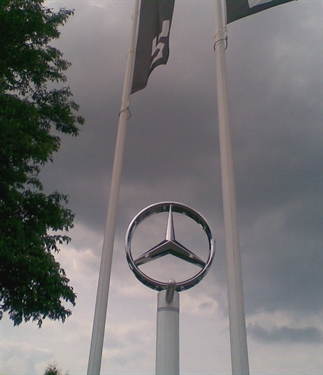 luxe vlaggenmast knoppen met logo