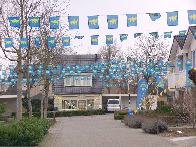 vlaggenlijn voor carnaval
