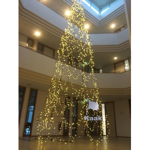 indoor_kerstboom_765291237